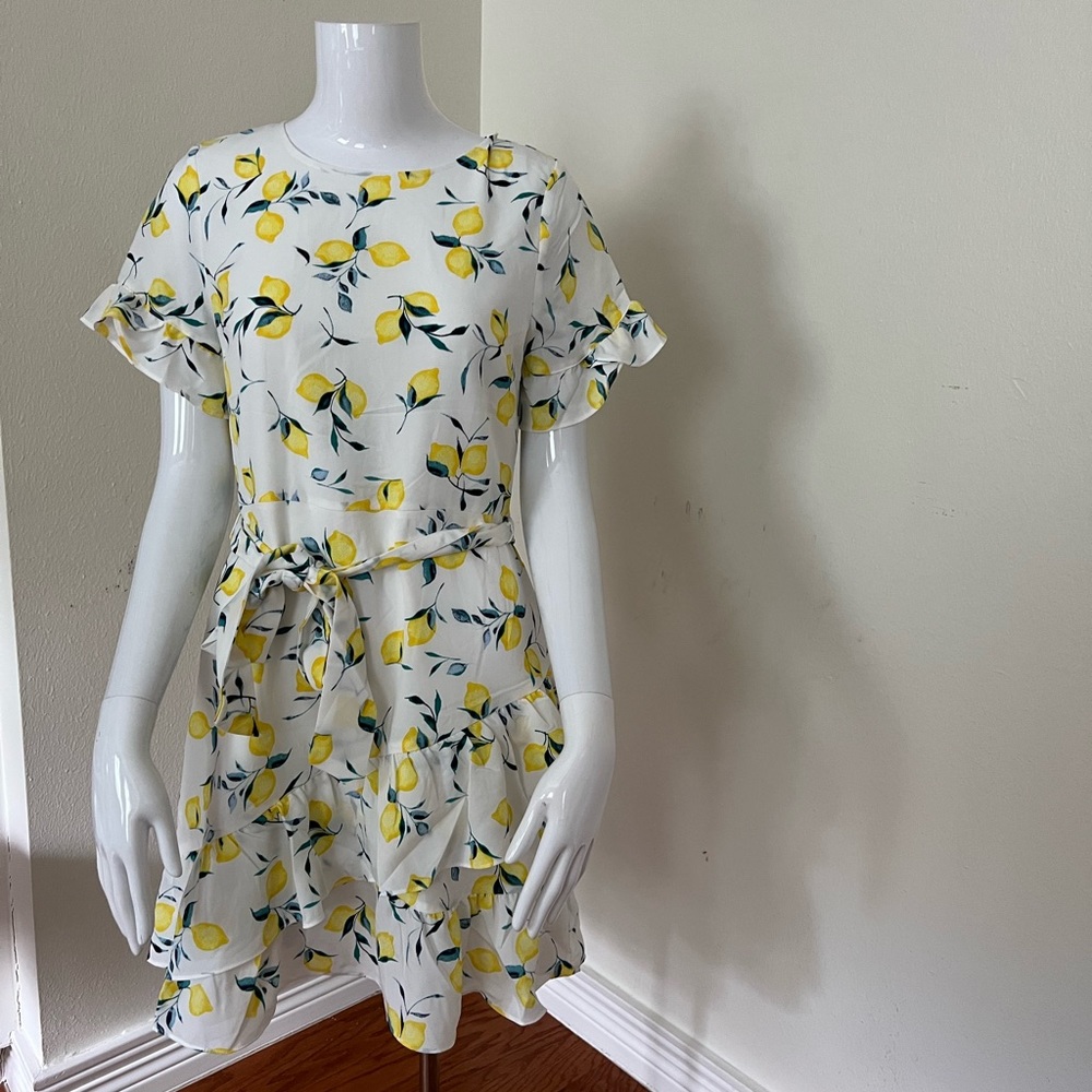 NWT Banana Republic summer dress
